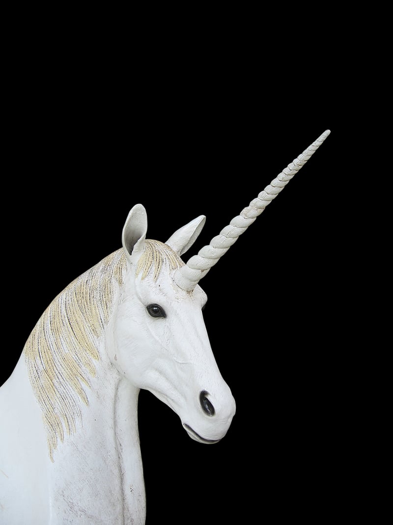 Unicorn Sanctuary Haven